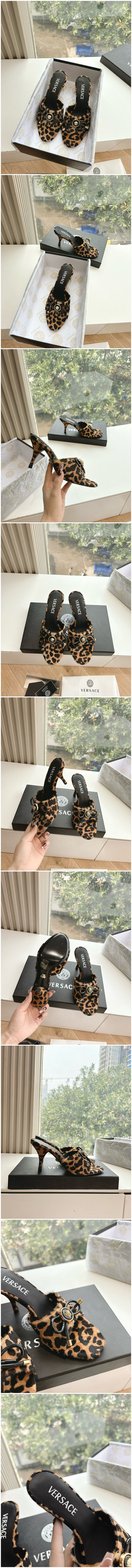 216.jpg